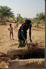 4b. fetching dirty water from well, Mali, near border