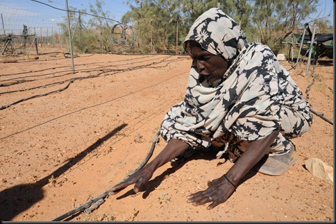 5a Vatma shows us how she used to grow vegetables