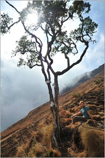 6d. Dan beside the 'Magic Tree', steepest section