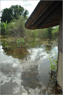 8b. Outside my room, Nunda Lodge, Kavango River  flooded