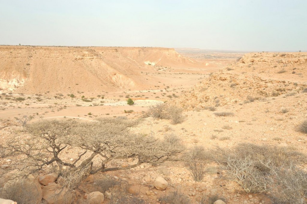 11a. Spectacular journey back to Bosaso (12 hour drive)